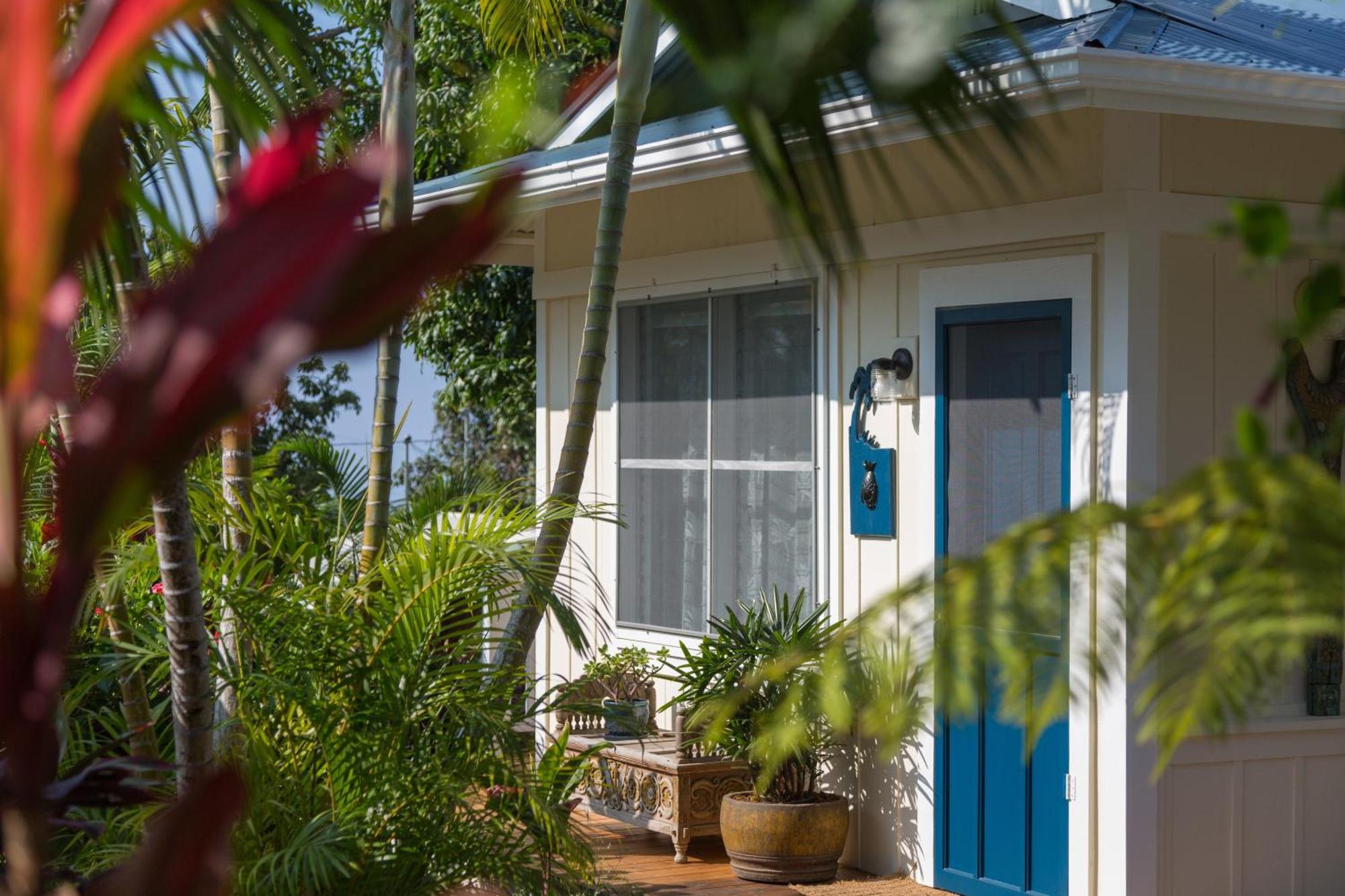 Holualoa Inn Oda fotoğraf
