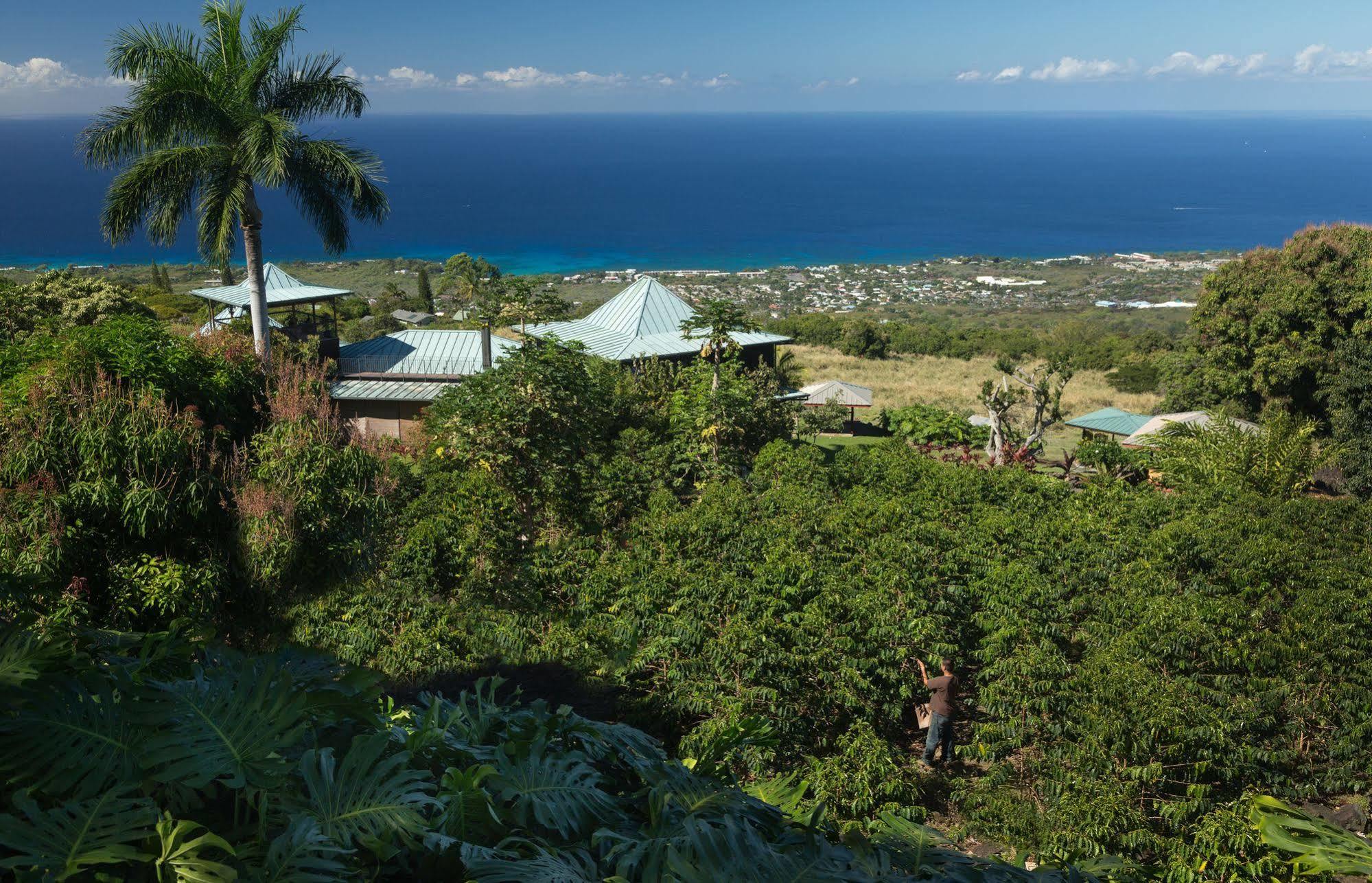 Holualoa Inn Dış mekan fotoğraf
